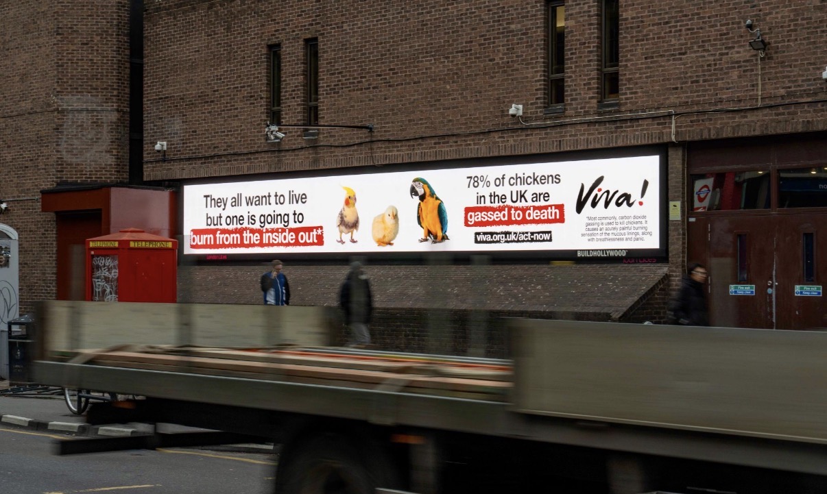 Viva!: Billboards + AdVan Across Central London